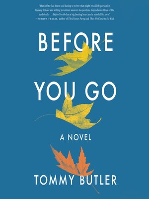 cover image of Before You Go